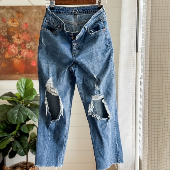 wild fable Denim - wild fable Distressed High Rise Straight Ankle